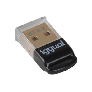 iggual USB 2.0 Mini Bluetooth 5.3 Adapter