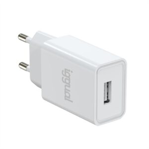 iggual Wall Charger 1xUSB 5V/2A (10W)