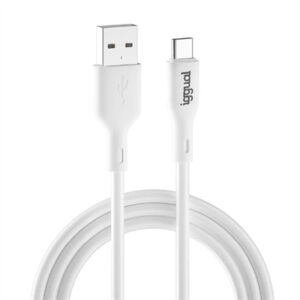 iggual USB-A/USB-C cable 100cm white
