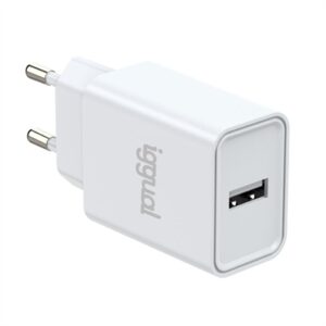 iggual 1XUSB 5V/2.4A Carregador de parede (12W)