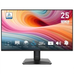 MSI MP251 E2 Monitor 24.5" IPS FHD 16:9 120Hz VGA