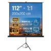 iggual Pantalla 112" 200x200 cm con trípode+bolsa