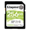 Kingston SDS2/256GB SD XC 256GB Class 10