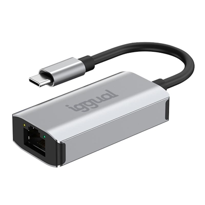 iggual USB Type-C to RJ45 Gigabit Adapter 1000Mbps