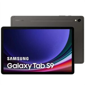 Samsung Galaxy TAB S9 12Gb 256Gb Wifi Grey