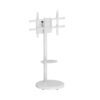 EWENT EW1550 Floor Mobile TV Stand for up to 86"
