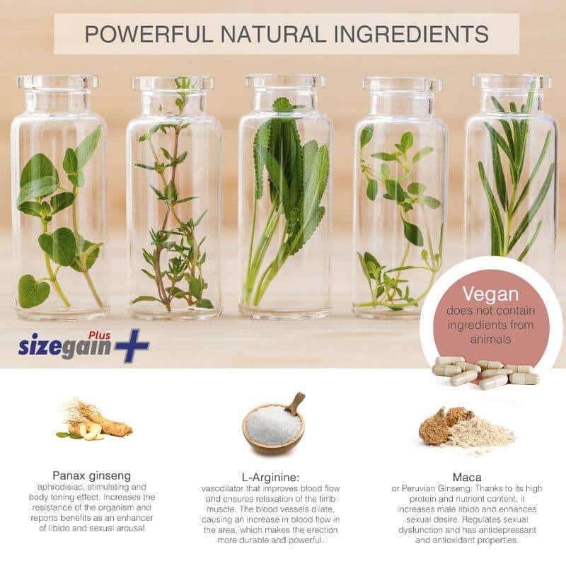 500 COSMETICS SizeGain Plus - Suplemento para Aumento Peniano 500 COSMETICS SizeGain Plus - Suplemento para Aumento Peniano