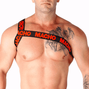 Macho - RED ROMAN Harness S/M - Stylish and Comfortable
