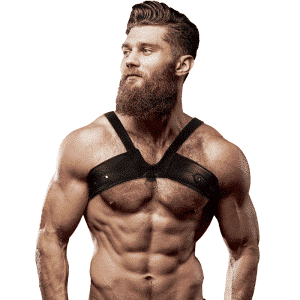 Mens Chest Harness Leather Brigade
