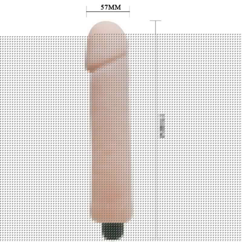 Baile - 25 CM VIBRATING DILDO LOVE COMPANION Baile - 25 CM VIBRATING DILDO LOVE COMPANION