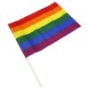 LGBT Pride Flag Medium Banner