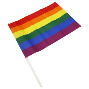 LGBT Pride Flag Medium Banner