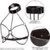 Calexotics - EUPHORIA Harness WITH MULTI CHAIN COLLAR FOR PLUS SIZE