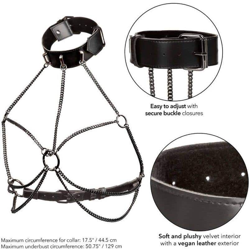 Calexotics - EUPHORIA Harness WITH MULTI CHAIN COLLAR FOR PLUS SIZE