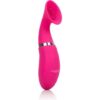Calexotics Suction Pump Climaxer for Intimate Play