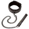 Calexotics - Conjunto de Collar y Correa para Placer Sin Límites