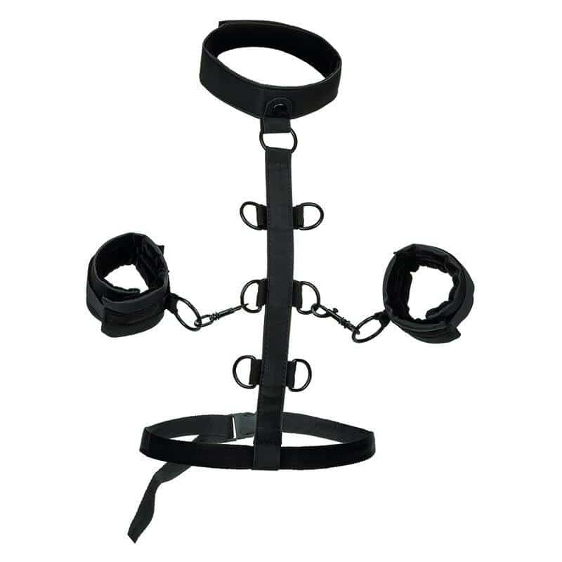 Calexotics Boundless Body Harness Collar