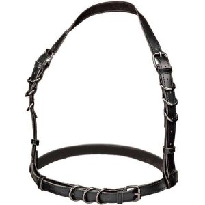 Calexotics Euphoria Black Buckle Harness