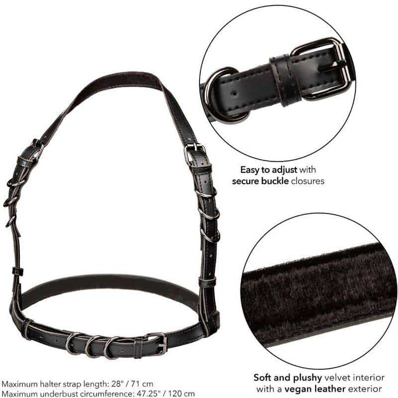 Calexotics Euphoria Black Buckle Harness Calexotics Euphoria Black Buckle Harness