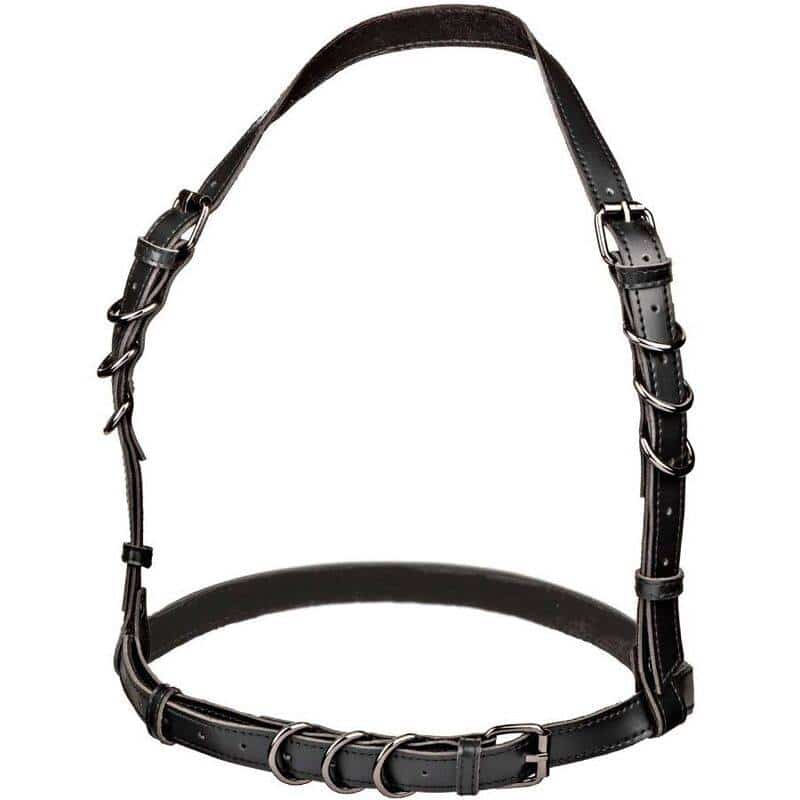 Calexotics Euphoria Black Buckle Harness