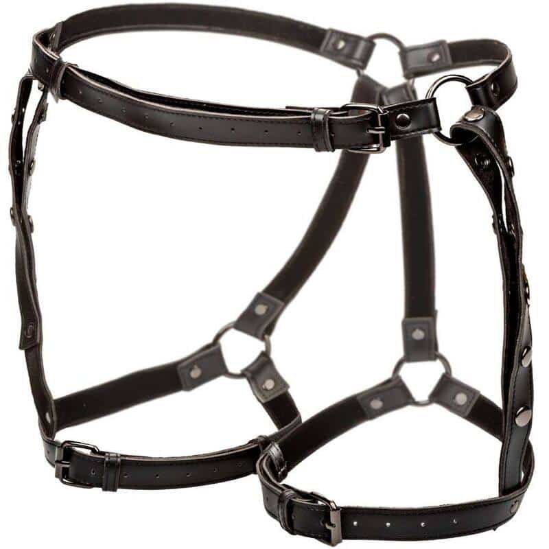 Calexotics Euphoria Thigh Harness for Riding