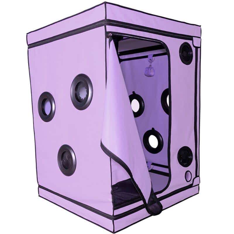 Dome de Controlo SCANDALE Roxo Dome de Controlo SCANDALE Roxo