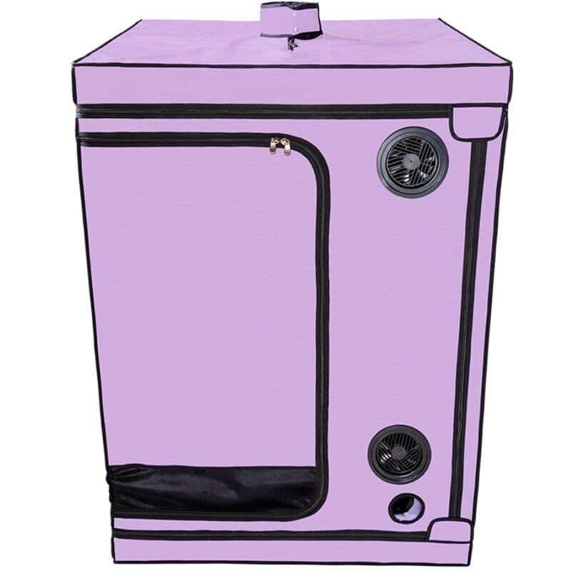 Dome de Controlo SCANDALE Roxo Dome de Controlo SCANDALE Roxo