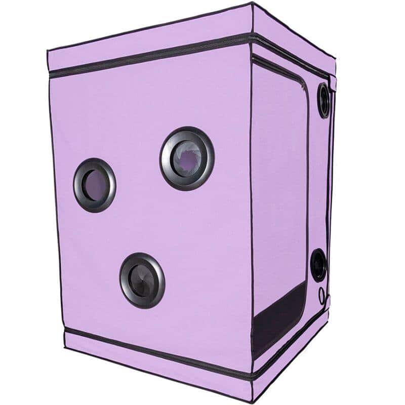 Dome de Controlo SCANDALE Roxo