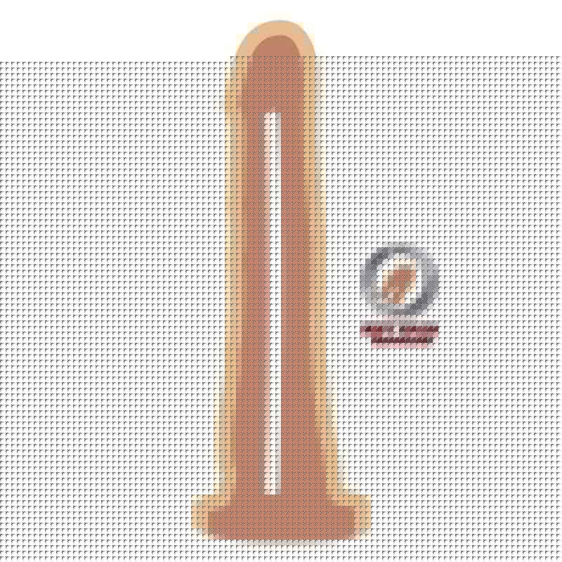 19cm Dual Density Skin Dong 19cm Dual Density Skin Dong