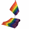 LGBT Pride Mini Flag Banner