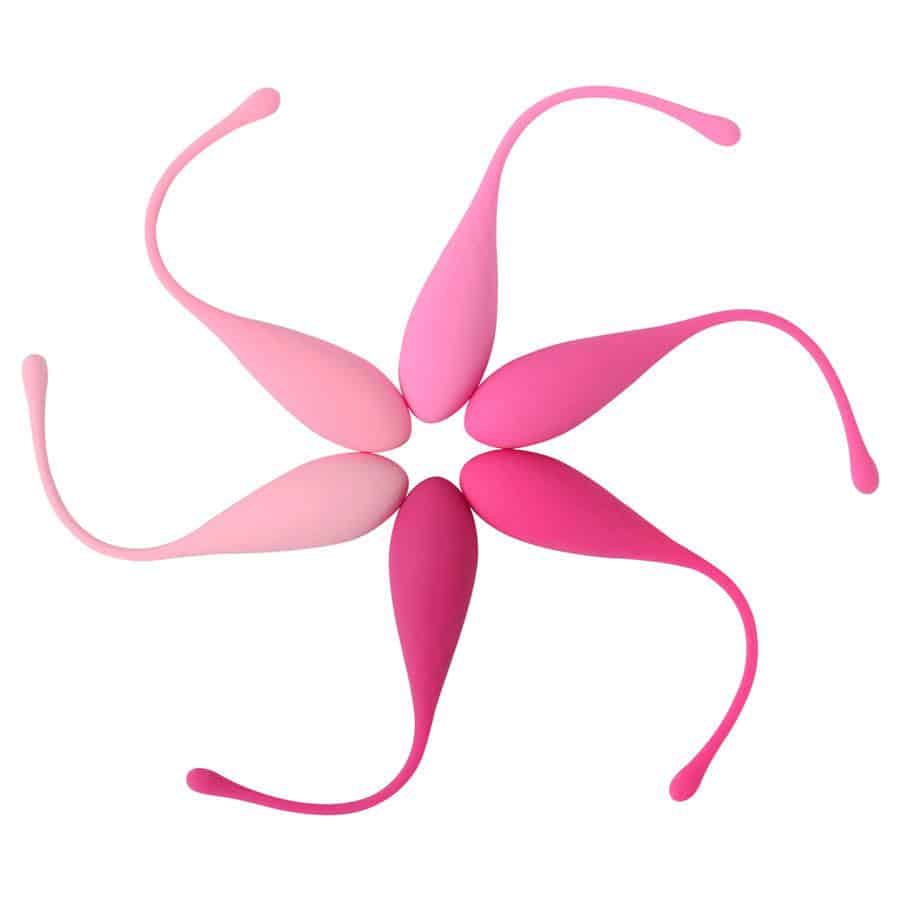Leslie Kegel Fit Pelvic Trainer Set Leslie Kegel Fit Pelvic Trainer Set