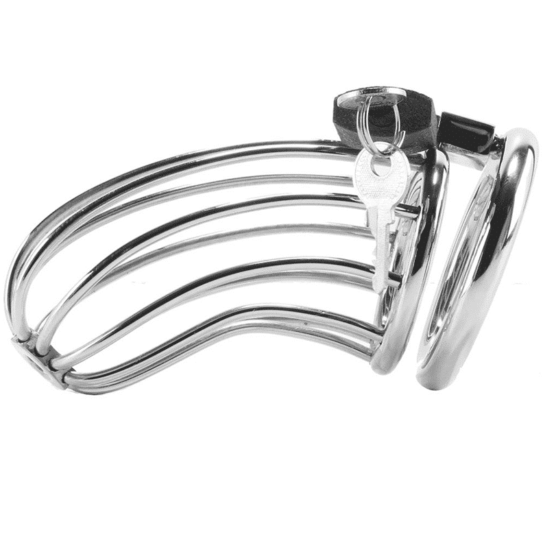 Metal Hard - STAINLESS STEEL BIRD CHASTITY RING CAGE