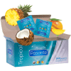 Pasante Tropical Flavored Condoms 144 Pack
