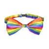 Pride - LGBT THEMED BOW TIE FOR CELEBRATIONS