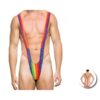Mens Rainbow Flag Swim Brief