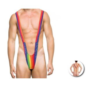 Mens Rainbow Flag Swim Brief