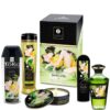 Shunga EDO Garden Sensual Kit