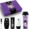 Shunga Naughtier Kit for Solo Play