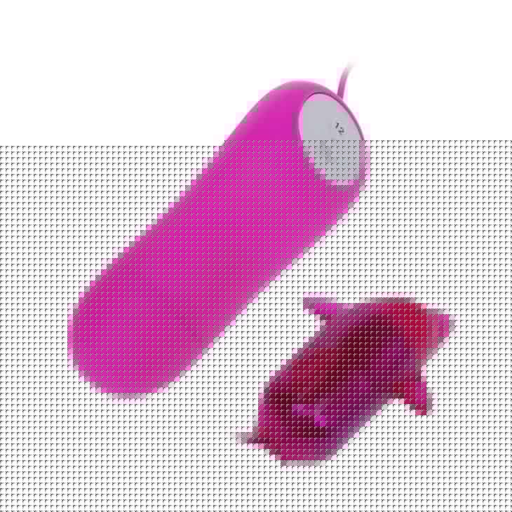 Secret Dolphin Mini Vibrator 12V Secret Dolphin Mini Vibrator 12V