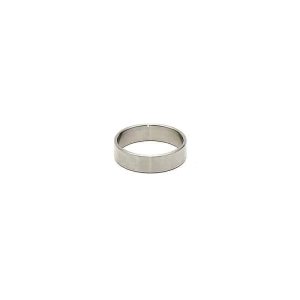 Steel Ring for the Penis