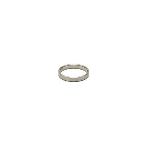 Steel Ring for the Penis