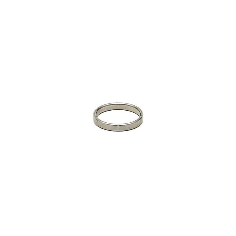 Steel Ring for the Penis