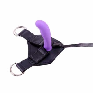 Harness and Love Dildo