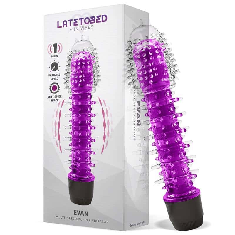 Evan Vibrator Multi Speed Purple