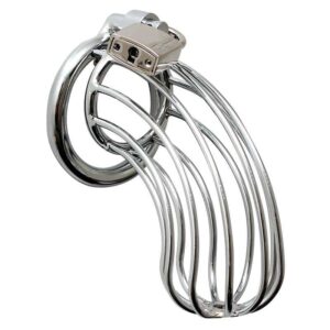 Metal Chastity Cage with Lock
