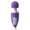 Purple Micro Massager