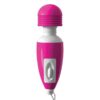 Pink Micro Massager