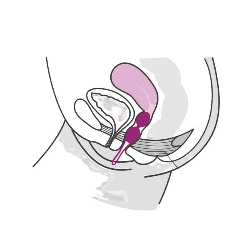 Smartballs Duo Kegel Balls Gray/Black Smartballs Duo Kegel Balls Gray/Black